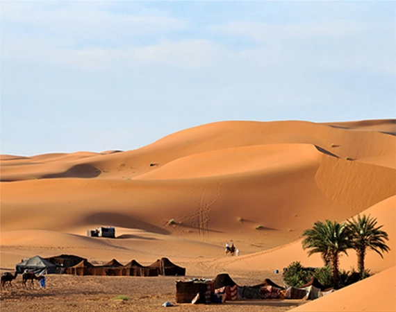 Desert merzouga bivouac 41