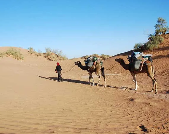 Erg khnata desert oulad driss