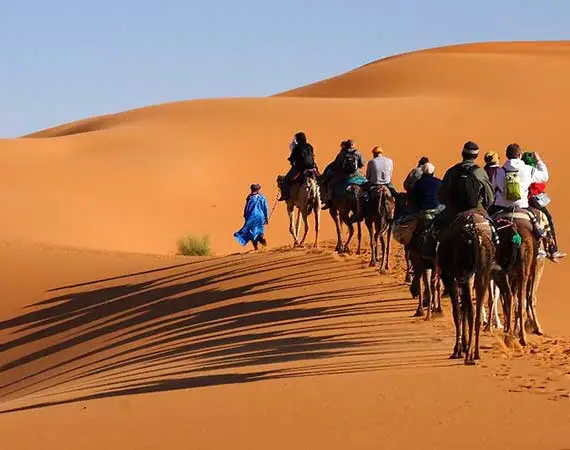 Merzouga rando dromdaires