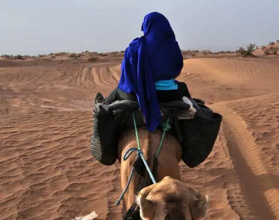 Balade dos dremadaires Voyage Saint Sylvestre Maroc