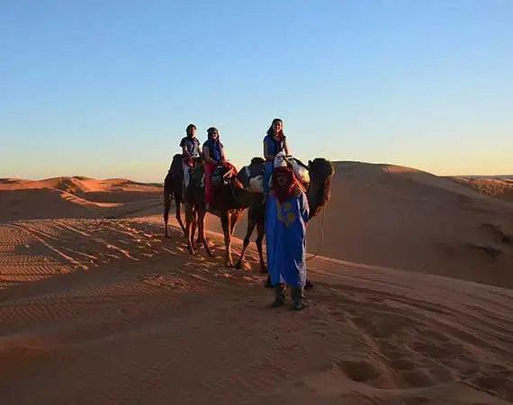 Balade dromadaires desert chegaga Maroc