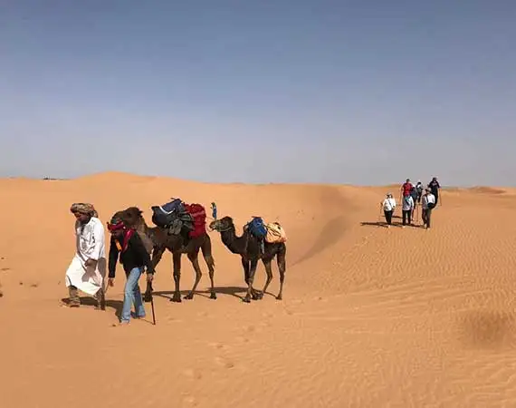 Excursion Mhamid dromadaires
