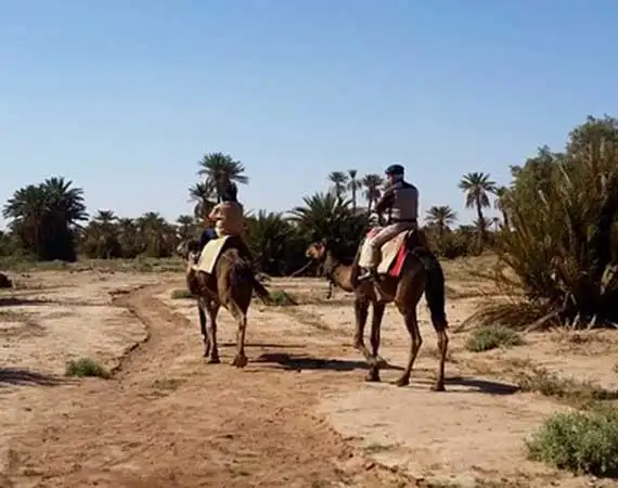 Trek a dos de dromadaire sud Zagora