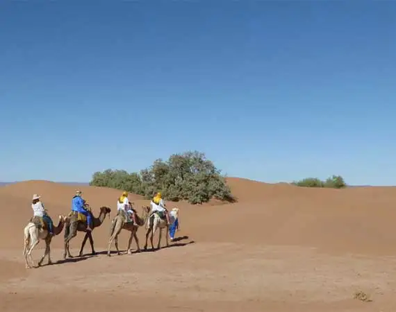 Trek desert Mhamid Bivouac
