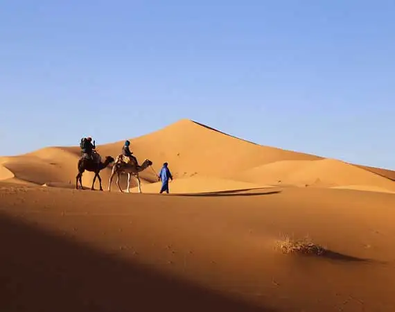 balade dromadaires merzouga