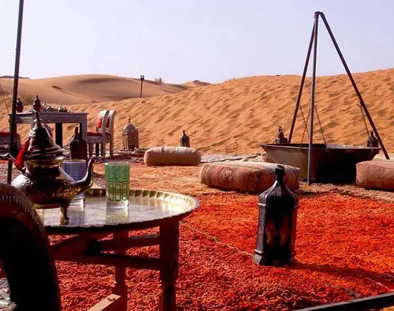 bivouac desert erag chebbi merzouga