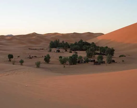 bivouac desert erg chebbi