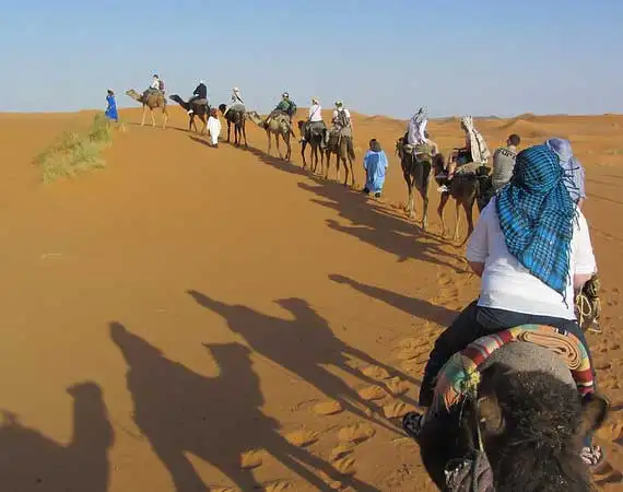 blade dromadaire desert voyage jour de l an maroc