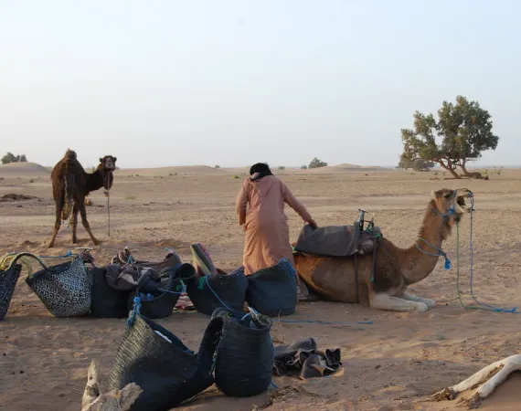 chameliers trek desert