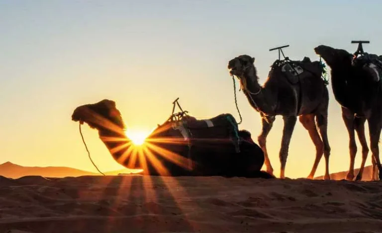 coucher soleil desert