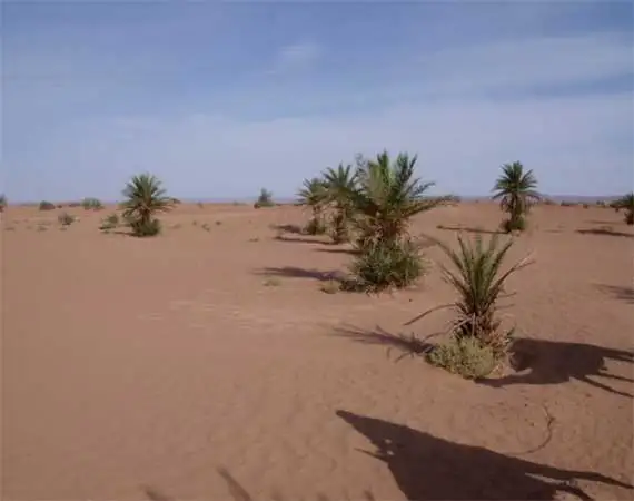 desert Mhamid voyage reveillon maroc