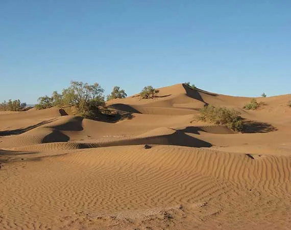 desert agounit mhamid