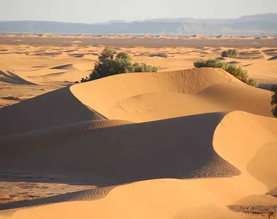 dunes de erg smar desert maroc
