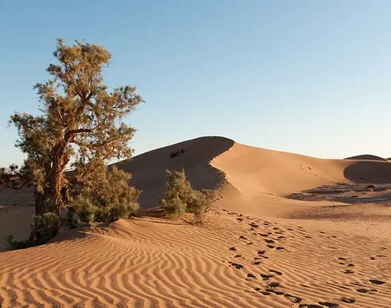 dunes sable desert oulad driss