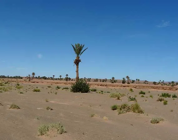 excursion desert zagora maroc