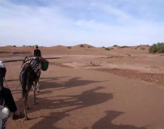 excursion dos dromadaires Mhamid
