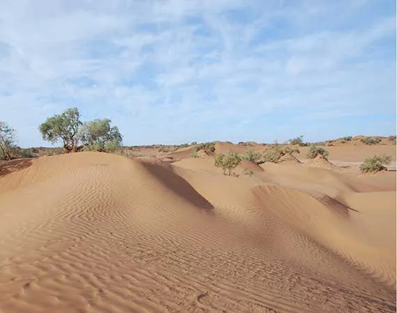 massifs de dunes desert maroc