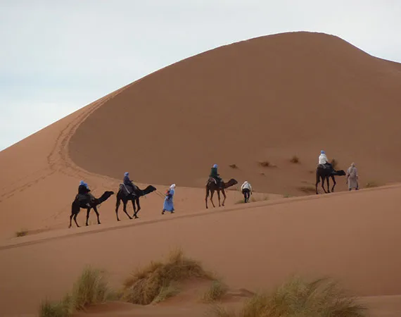 merzouga voyage dromadaires