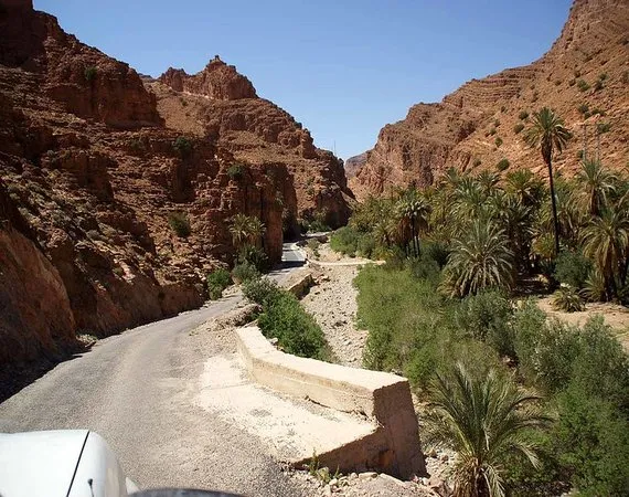 oasis sudmaroc