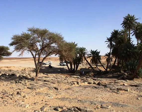 ouasis sacree mhamid desert