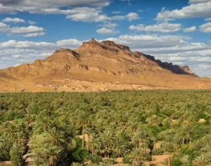 palmerais zagora voyage reveillon maroc