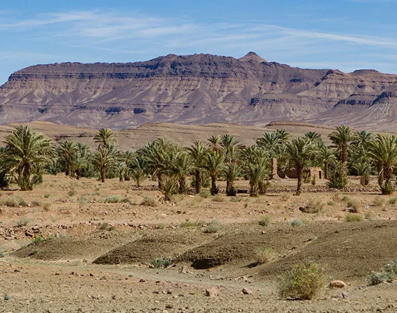 paysages vallee draa