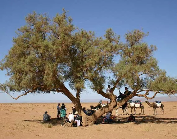 pique nique desert maroc