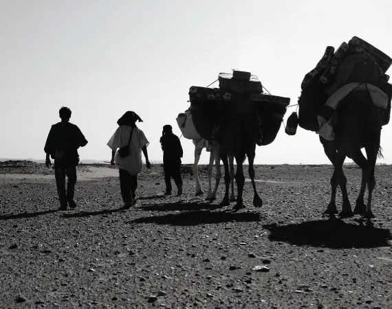 plateau reg trek maroc