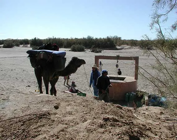 puits vallee-draa desert