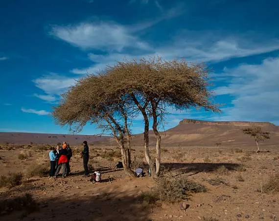 rando desert tamaris