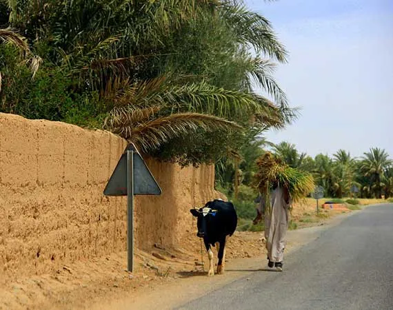 route mhamid maroc