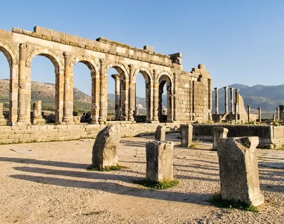 ruins volubilis maroc 235D