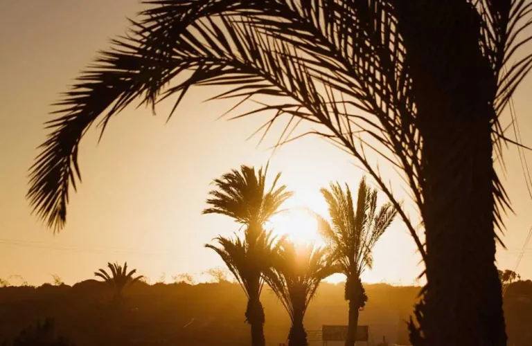 temperature annuelle maroc