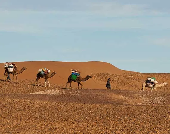 trek decouverte desert maroc