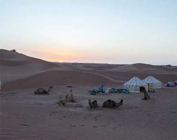 trek ouad draa desert maroc