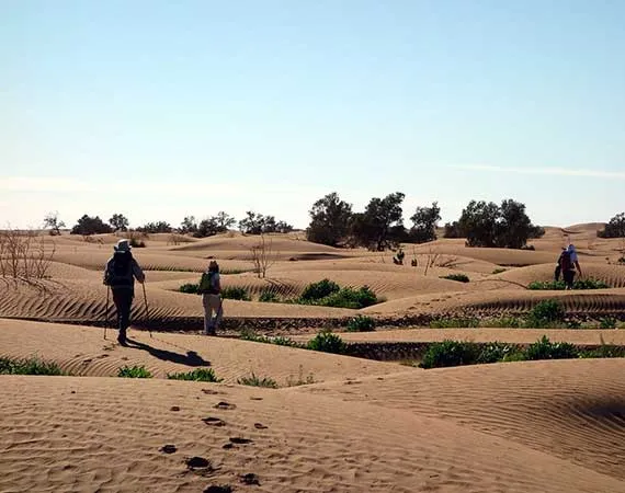 trek oulad driss