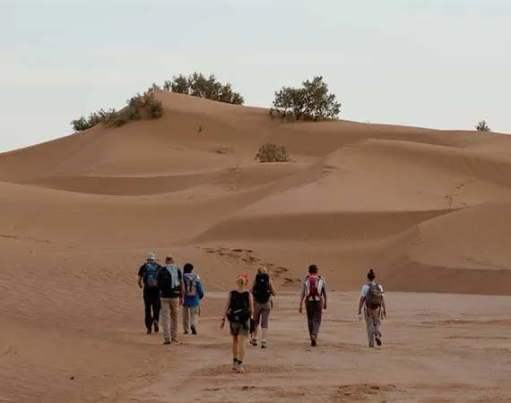 trek vers oulad driss desert maroc