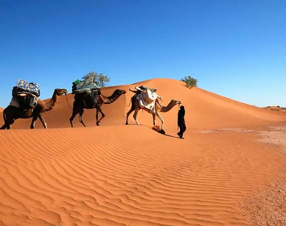 trekking desert maroc erg merzouaria