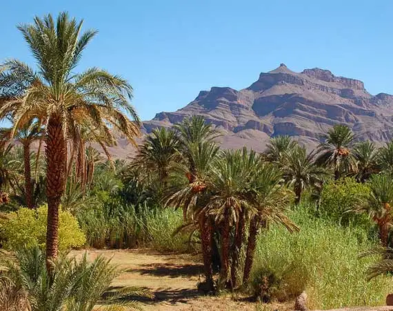vallee draa excursion desert 4x4
