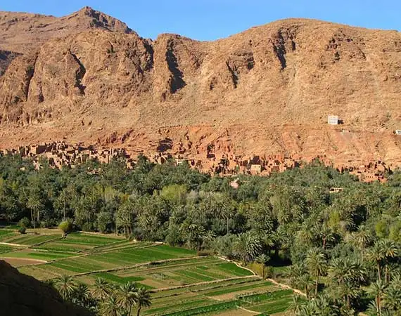 palmerie tinghir excursion sud maroc